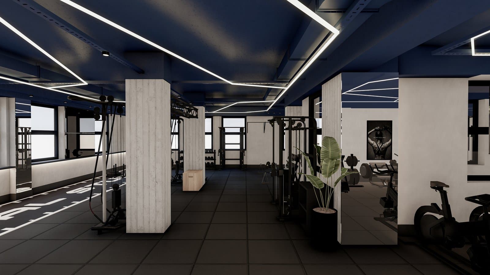 Sala de entrenamiento funcional Animal Studio